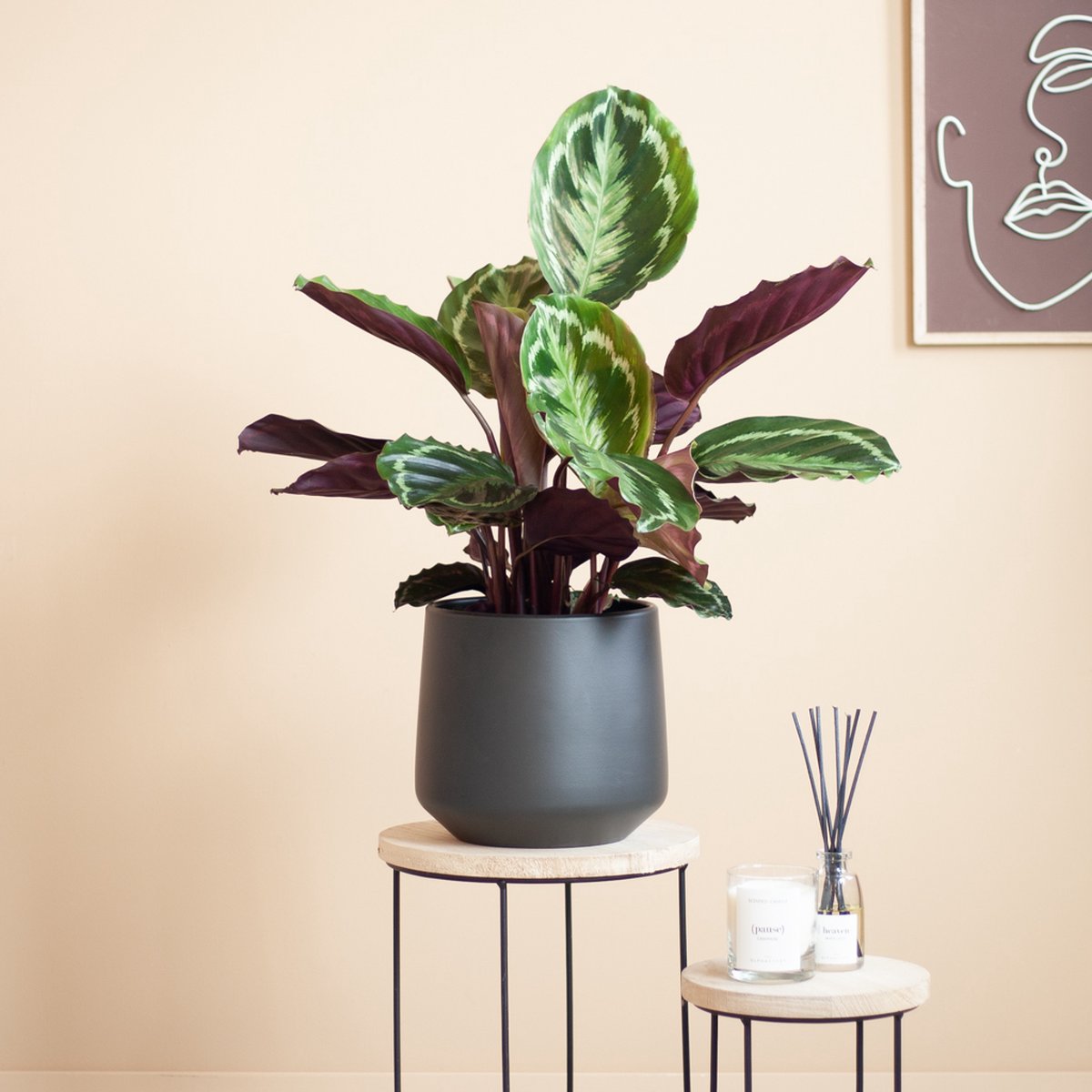 Groen Verkoop -Groen Verkoop