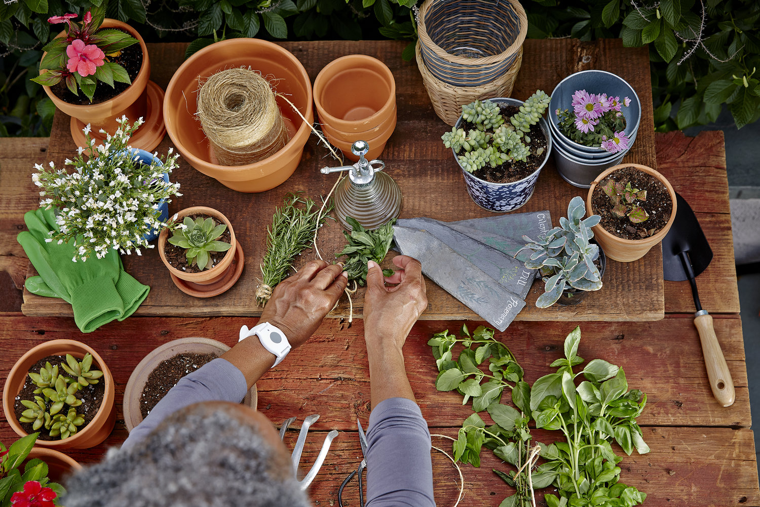 Groen Verkoop -Groen Verkoop MG HighRes OverHead 3973