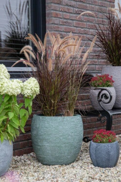 Bloempot Arizona Bullet Cypress Wash - D32 X H28.5cm - Groen -Groen Verkoop arizona bullet cypress wash d32h285 bloempot 7 9