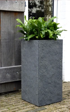 Plantenbak Arizona Cubihi - L28 X B28 X H60cm - Donkergrijs -Groen Verkoop arizona cubihi graphite w28h60 plantenbak 7 4