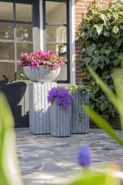 Plantenschaal Arkansas - D36 X H16.5cm - Lichtgrijs -Groen Verkoop arkansas bowl low washed grey d36h165 bloempot 7 9