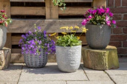 Bloempot Arkansas Egg Washed - D25 X H25cm - Lichtgrijs -Groen Verkoop arkansas egg pot washed grey d25h25 bloempot 7 9