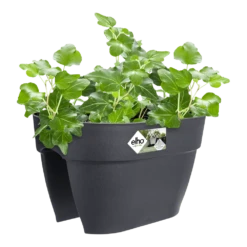 Elho Balkonbak Vibia Campana Bridge 40cm - Antraciet 9 Elho Balkonbak Vibia Campana Bridge 40cm - Antraciet -Groen Verkoop balkonbak vibia campana bridge 40cm antraciet balkonbak antraciet 3 1