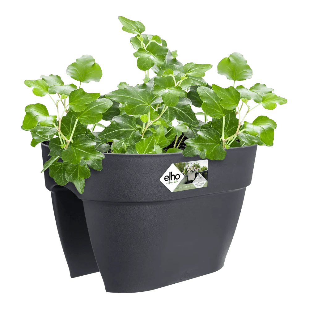 Elho Balkonbak Vibia Campana Bridge 40cm - Antraciet 5 Elho Balkonbak Vibia Campana Bridge 40cm - Antraciet - Afbeelding 3