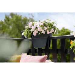 Elho Balkonbak Vibia Campana Bridge 40cm - Antraciet 11 Elho Balkonbak Vibia Campana Bridge 40cm - Antraciet -Groen Verkoop balkonbak vibia campana bridge 40cm antraciet balkonbak antraciet 5 1