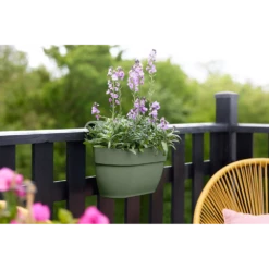 Elho Balkonbak Vibia Campana Easy Hanger Medium - Pistache Groen 11 Elho Balkonbak Vibia Campana Easy Hanger Medium - Pistache Groen -Groen Verkoop balkonbak vibia campana easy hanger medium pistache groen balkonbak pistache groen 5 1