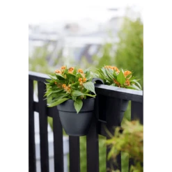 Elho Balkonbak Vibia Campana Twin 21cm - Antraciet -Groen Verkoop balkonbak vibia campana twin 21cm antraciet balkonbak antraciet 5 1