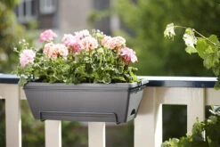 Balkonbak Elho Barcelona Allin 1 50cm - Antraciet -Groen Verkoop barcelona allin1 50cm plantenbak antraciet 7 18