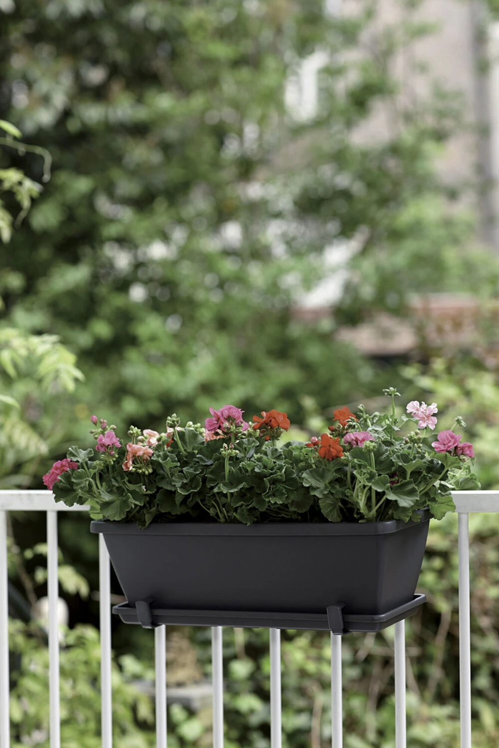 Groen Verkoop -Groen Verkoop barcelona balkonbak 90cm plantenbak antraciet 6 22