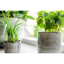 Bloempot Denise - D17 X H17cm - Off White -Groen Verkoop bloempot denise d17 x h17cm off white bloempot 3