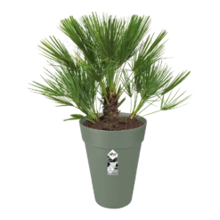 Bloempot Elho Loft Urban Rond Hoog 28cm - Pistache Groen 7 Bloempot Elho Loft Urban Rond Hoog 28cm - Pistache Groen -Groen Verkoop bloempot elho loft urban rond hoog 28cm antraciet bloempot pistache groen 3 1