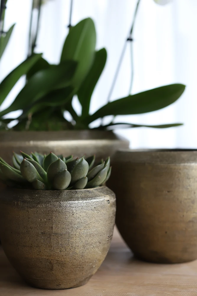 Bloempot Kos - D25 X H23cm - Goud 4 Bloempot Kos - D25 X H23cm - Goud - Afbeelding 2