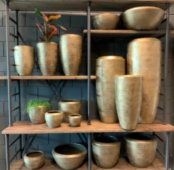 Plantenschaal Kos - D35 X H18cm - Goud -Groen Verkoop bloempot kos serie goud bloempot 3 1 2