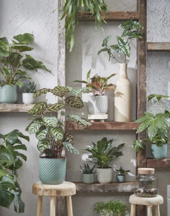 Bloempot Daan - D17 X H16cm - Wit -Groen Verkoop daan pot rond wit h16xd17cm bloempot 7 7