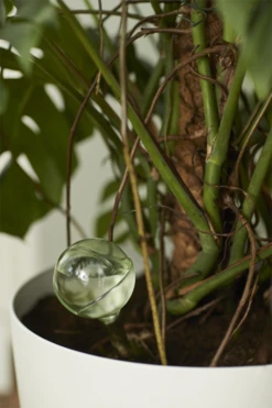 Aqua Care Elho - Transparant -Groen Verkoop elho aqua care transparant water geven 7 2