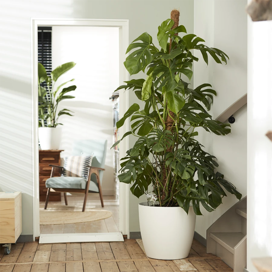 Bloempot Elho Brussels Rond 40cm - Met Wielen - Wit 4 Bloempot Elho Brussels Rond 40cm - Met Wielen - Wit - Afbeelding 2