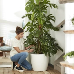 Bloempot Elho Brussels Rond 40cm - Met Wielen - Wit 7 Bloempot Elho Brussels Rond 40cm - Met Wielen - Wit -Groen Verkoop elho brussels rond wielen 40 wit bloempot 7 7