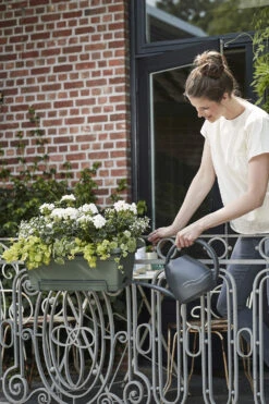 Balkonbak Elho Green Basics XL Allin1 55cm - Bladgroen 9 Balkonbak Elho Green Basics XL Allin1 55cm - Bladgroen -Groen Verkoop green basics balkonbak xl allin1 55cm plantenbak bladgroen 7 14