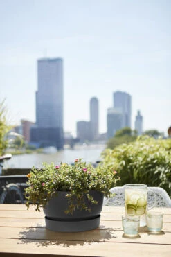 Plantenschaal Elho Greenville 33cm - Living Black -Groen Verkoop greenville schaal 33cm bloempot living black 6 13