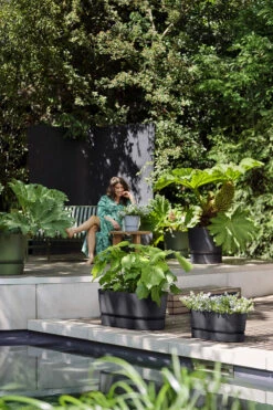 Bloembak Elho Greenville Terrace Long 50cm - Met Wielen - Living Black -Groen Verkoop greenville trough long 50 plantenbak living black 6 13