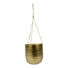 Hangpot Kody - D16 X H18cm - Goud -Groen Verkoop hanger kody gold d16 h18 hangpot 1 4