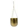 Hangpot Kody - D17 X H20cm - Goud -Groen Verkoop hanger kody gold d17 h20 hangpot 1 4