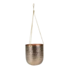 Hangpot Kody - D16 X H18cm - Rosu00e9 Goud -Groen Verkoop hangpot kody d16 h18 rose goud hangpot 1 10