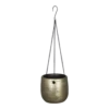 Hangpot Mira - D16 X H14cm - Goud 1 Hangpot Mira - D16 X H14cm - Goud -Groen Verkoop hangpot mira d16 h14cm industrieel goud hangpot 1