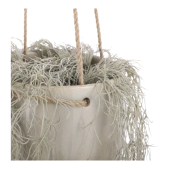 Hangpot Resa - D18,5 X H17cm - Lichtgrijs -Groen Verkoop hangpot resa d18 5 x h17cm lichtgrijs hangpot 3 1