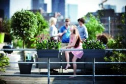 Balkonbak Elho Loft Urban Allin1 50cm - Antraciet -Groen Verkoop loft urban balkonbak allin1 50 plantenbak antraciet 7 13