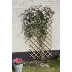 Nature - Houten Klimrek Naturel 100x200cm 6 Nature - Houten Klimrek Naturel 100x200cm -Groen Verkoop nature houten klimrek naturel 100x200cm 3 2