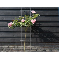 Nature - Metalen Klimrek Geplastificeerd Grijs H145x42,5cm -Groen Verkoop nature metalen klimrek geplastificeerd grijs h145x42 5cm 3 2