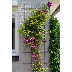 Groen Verkoop -Groen Verkoop nature metalen klimrek geplastificeerd grijs h145x57cm 2 2