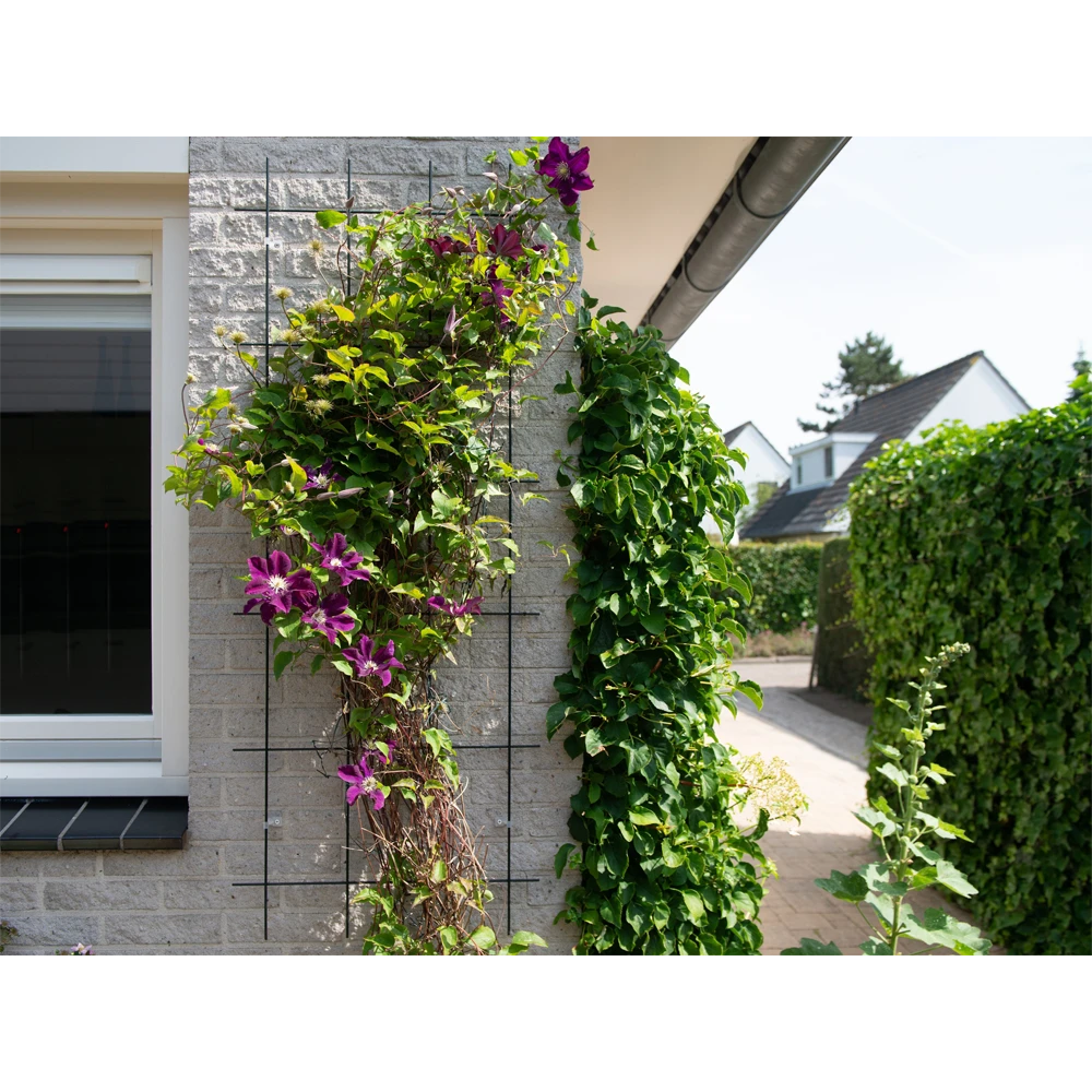 Nature - Metalen Klimrek Geplastificeerd Grijs H145x57cm 5 Nature - Metalen Klimrek Geplastificeerd Grijs H145x57cm - Afbeelding 3