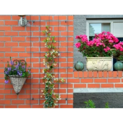 Nature - Metalen Klimrek Geplastificeerd Grijs H145x72,5cm -Groen Verkoop nature metalen klimrek geplastificeerd grijs h145x72 5cm 3 2