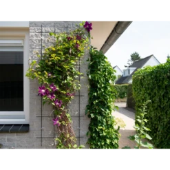 Nature - Metalen Klimrek Geplastificeerd Groen H145x57cm 8 Nature - Metalen Klimrek Geplastificeerd Groen H145x57cm -Groen Verkoop nature metalen klimrek geplastificeerd groen h145x57cm 3 2