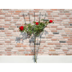 Nature - Metalen Klimrekv Geplastificeerd Groen H145x5/75cm -Groen Verkoop nature metalen klimrekv geplastificeerd groen h145x5 75cm 3 2