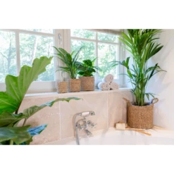 Plantenmand Joris - D33 X H31cm - Naturel 7 Plantenmand Joris - D33 X H31cm - Naturel -Groen Verkoop plantenmand joris naturel plantenmand 3 1