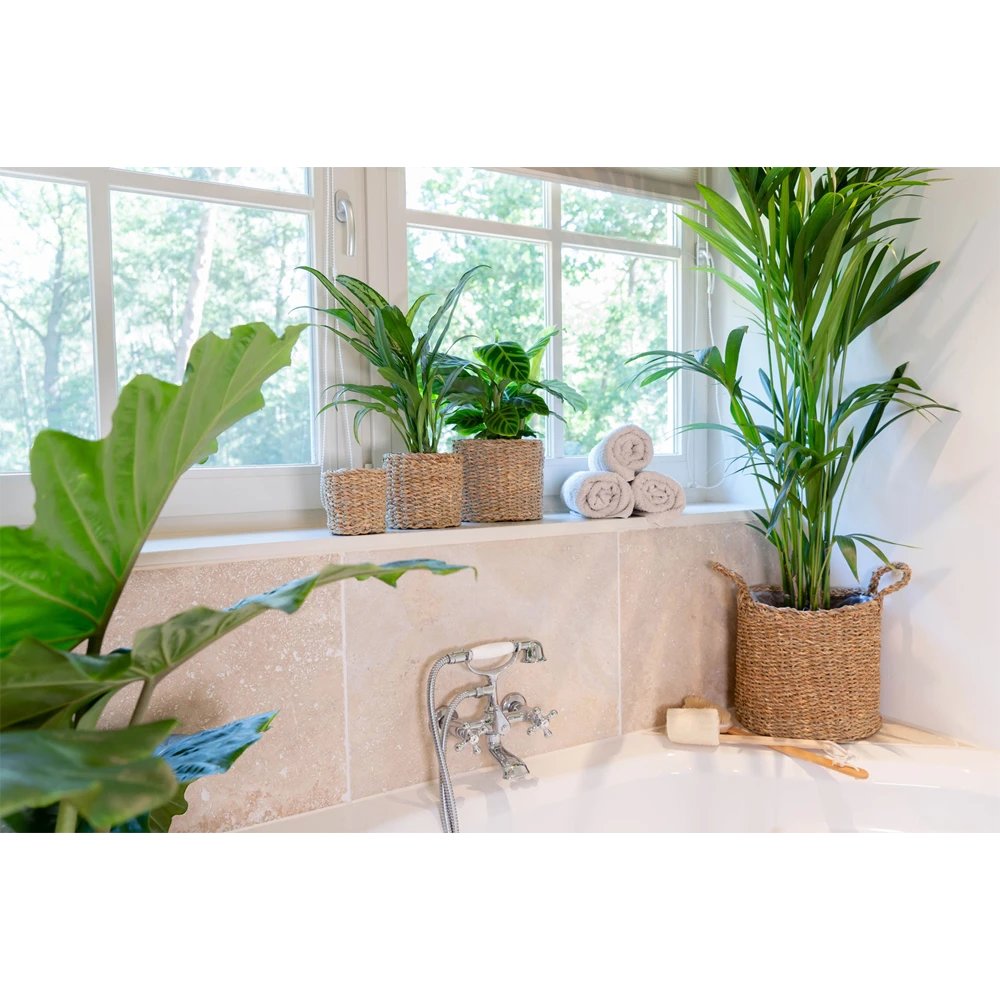 Plantenmand Joris - D30 X H27cm - Naturel 5 Plantenmand Joris - D30 X H27cm - Naturel - Afbeelding 3