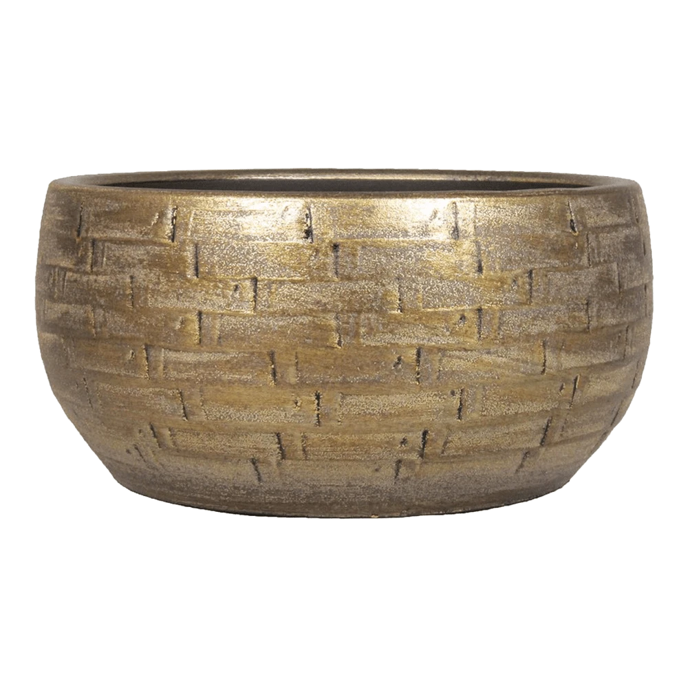 Plantenschaal Steef - D32 X H15cm - Industrieel Goud 3 Plantenschaal Steef - D32 X H15cm - Industrieel Goud