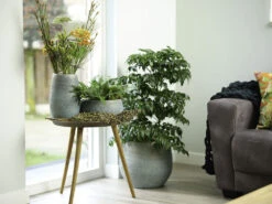 Bloempot Ryan - D26 X H26cm - Shiny Blue -Groen Verkoop pot ryan shiny blue keramiek d26 h26 bloempot 7 10