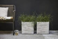 Capi Plantenbak Vierkant Nature Rib NL - L30 X B30 X H30cm - Ivoor 7 Capi Plantenbak Vierkant Nature Rib NL - L30 X B30 X H30cm - Ivoor -Groen Verkoop pot vierkant rib nl 30x30x30 ivoor plantenbak 7 8