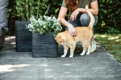 Capi Plantenbak Vierkant Nature Rib NL - L30 X B30 X H30cm - Zwart -Groen Verkoop pot vierkant rib nl 30x30x30 zwart plantenbak 7 8