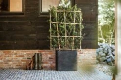 Capi Plantenbak Vierkant Nature Rib NL - L50 X B50 X H50cm - Zwart -Groen Verkoop pot vierkant rib nl 50x50x50 zwart plantenbak 7 8