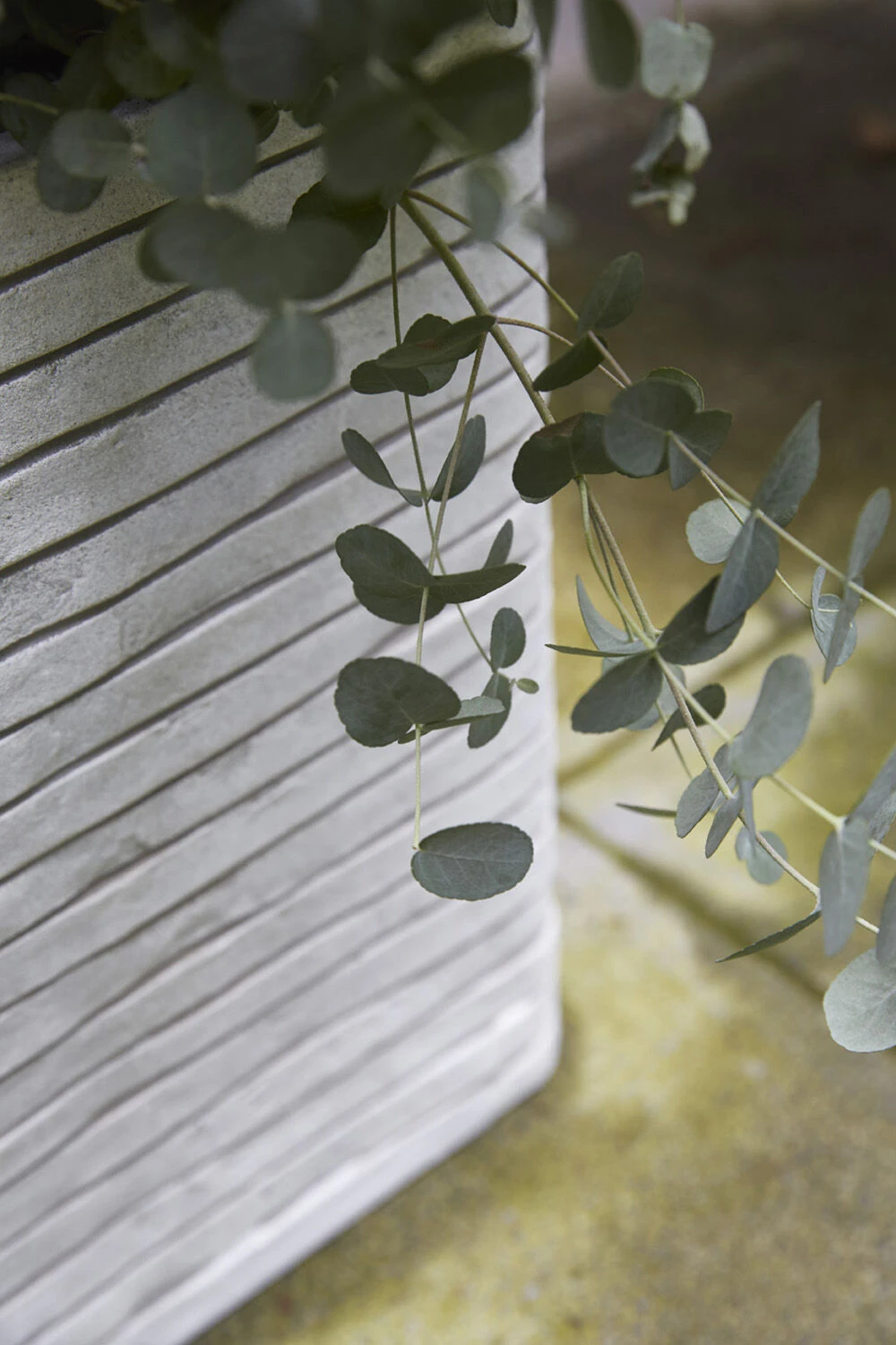 Capi Plantenbak Vierkant Nature Row NL - L30 X B30 X H30cm - Ivoor 4 Capi Plantenbak Vierkant Nature Row NL - L30 X B30 X H30cm - Ivoor - Afbeelding 2