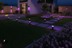 Calex Smart Outdoor Ledstrip RGB + White 5M -Groen Verkoop smart outdoor ledstrip rgb white 5m 4