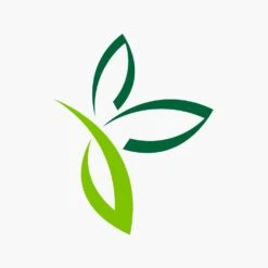 Solana Ligbed - Verrijdbaar - Antraciet -Groen Verkoop solana ligbed verrijdbaar antraciet 3 3