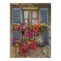 Tuinposter Kozijn Met Bloemen - 60x80cm