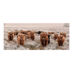Tuinposter Longhorns - 110x45cm