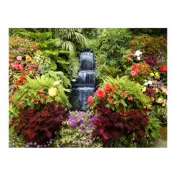 Tuinposter Watertrap - 80x60cm